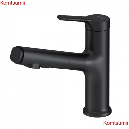 AM.PM F85B02922 X-Joy S, смеситель для раковины с вытяжным изливом, черный