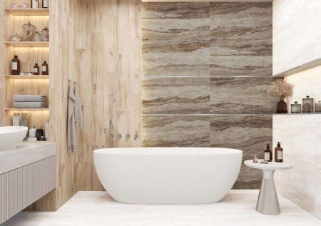 Коллекция Delacora Magnum 60*60