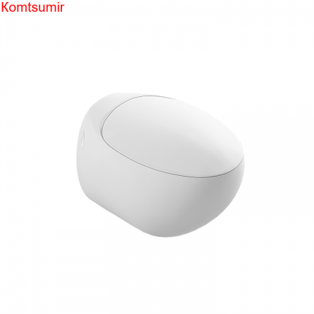 Sanita Luxe Ringo Унитаз подвесной с быстросъемным сидением микролифт Sanita Luxe Ringo Унитаз подвесной с быстросъемным сидением микролифт