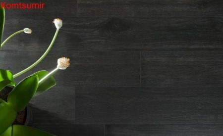 Коллекция Emigres Hardwood 120*20