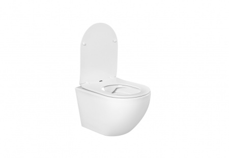 Унитаз подвесной безободковый AQUATEK ЕВРОПА AQ1901-00 525*360*320 мм, горизонтальный выпуск, тонкое сиденье с механизмом плавного закрывания, крепеж Унитаз подвесной безободковый AQUATEK ЕВРОПА AQ1901-00 525*360*320 мм, горизонтальный выпуск, тонкое сиденье с механизмом плавного закрывания, крепеж